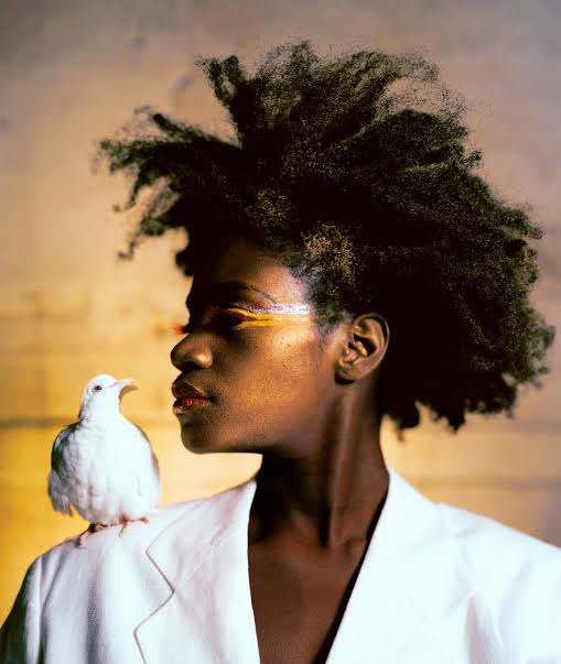 10+ önemli Afroamerikan fotoğraf sanatçısı