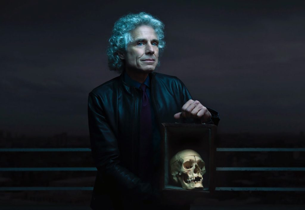 Steven Pinker, Boş Sayfa: Belirlenimcilik Korkusu