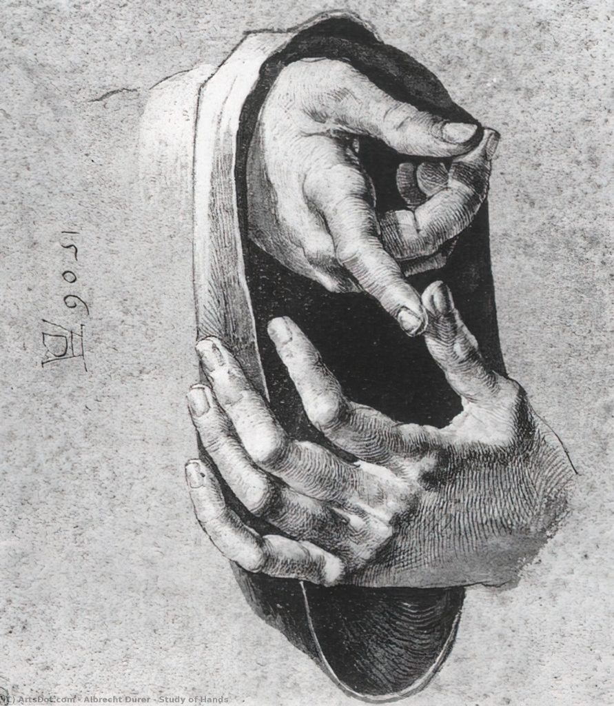 Study of Hands – (Albrecht Durer)